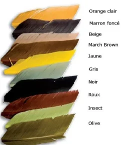 Substitut de Condor JMC