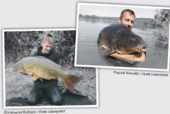 Tungstene Paste CarpSpirit 20g