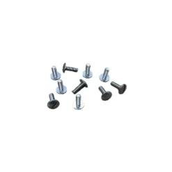 Vis 4x12 mm inox Denty A4 TRL Fendue "Poelier"